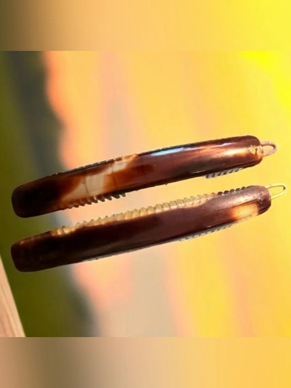 New 1960’s Tortoiseshell French Hair Clips with a Curved Design, One Pair,  3”‎